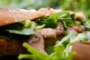 Close up Homemade   Banh Mi  Thai Style. (selective Focus)