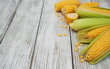 Fresh corn on the cob