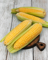 Fresh corn on the cob