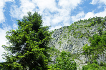 Very nice view of the mountains and forests of Abkhazia