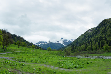  mountains and forests of Abkhazia