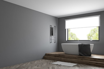 Modern gray bathroom corner