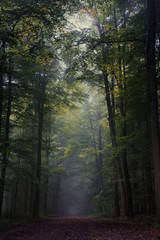 Fototapeta premium Into the void