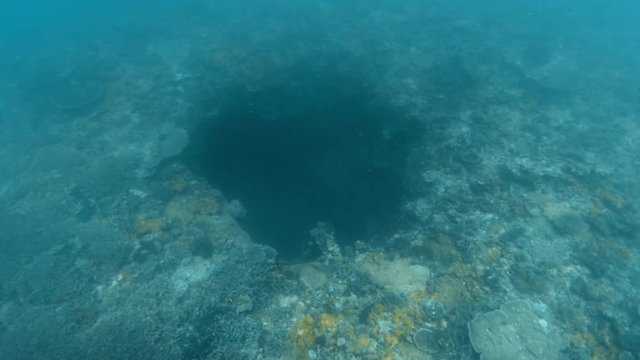 An underwater shot showing a huge sinkhole on the ocean floor. Coral covers the surrounding of the ocean floor.