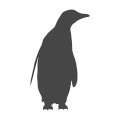 Fototapeta premium Penguin Icon - vector Illustration 