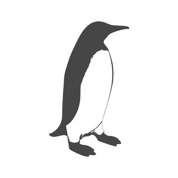 Penguin Icon - vector Illustration 