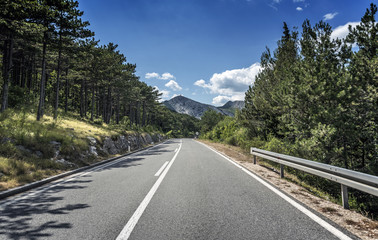 Country road through the rocky mountains and forest.