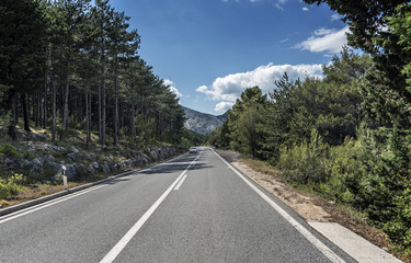 Country road through the rocky mountains and forest.