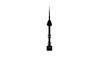 Obraz premium N Tower silhouette in Seoul SOUTH KOREA