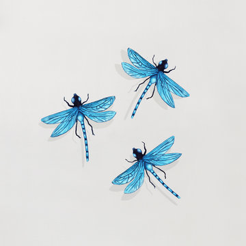 Three Dragonflies