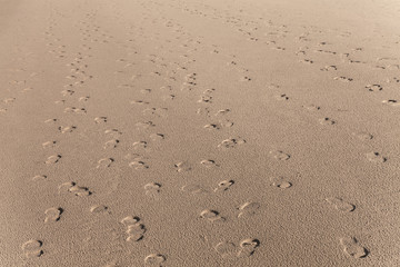 Fußspuren im Sand