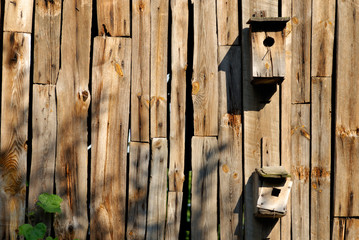 Old bird feeder