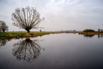 Narew w Strękowej Górze