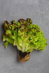 Diet healthy fresh green lettuce, ingredient for a salad on a grey concrete background table. Top view.

