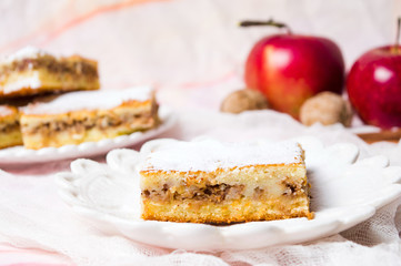 Apple pie on a plate with fresh apples