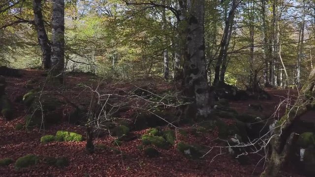 Urbasa en oto&ntilde;o