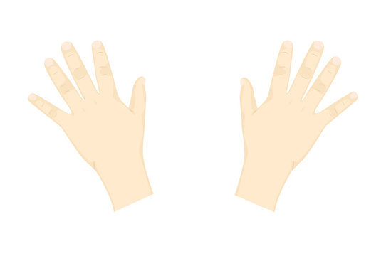 Child's hands, illustration