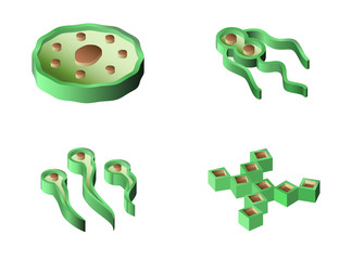 Set of bacteria virus and germ isometric icons. Icons of harmful bacteria, fungus, microbe and other vermin. Vector illustration.