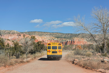 School Bus