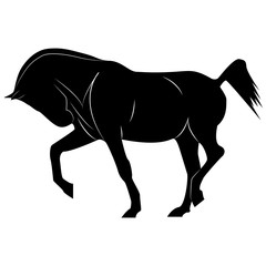 Vector horse silhouette image