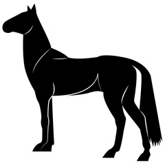 Vector horse silhouette image