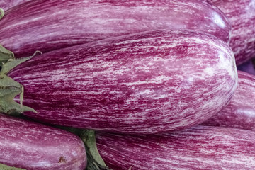 Obraz premium eggplant on the weekly market in Siena