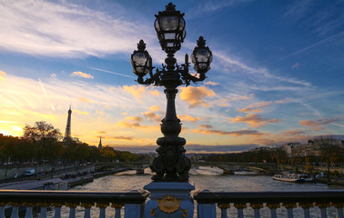 The street lantern on the Alexandre III Bridge in Paris, France.