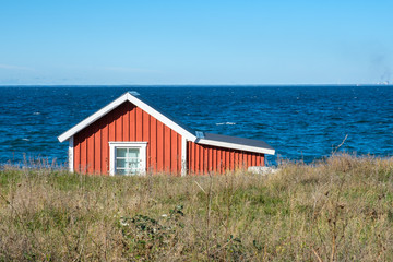 Fototapeta na wymiar Traditional red cottage during autumn on Swedish Baltic sea island Oland. Oland is a popular tourist destination in Sweden during summertime.
