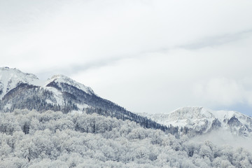 mountain peak in the clouds in winter
