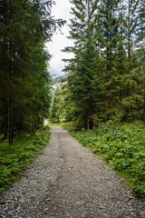 empty gravel road in the countryside in summer