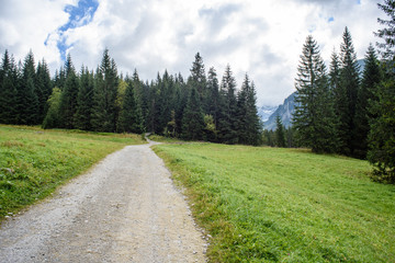 Fototapeta na wymiar empty gravel road in the countryside in summer