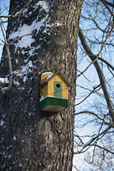 Скворечник зимой