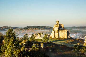 Naklejka premium Castle in Mirow at foggy morning on the Jura Krakowsko-Czestochowska, Poland