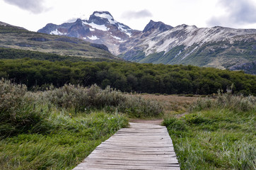 Fototapeta na wymiar Path to Laguna Esmeralda in Tierra del Fuego park near Ushuaia, Paragonia, Argentina