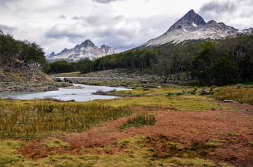 Peat bog in Tierra del Fuego park near Ushuaia, Paragonia, Argentina