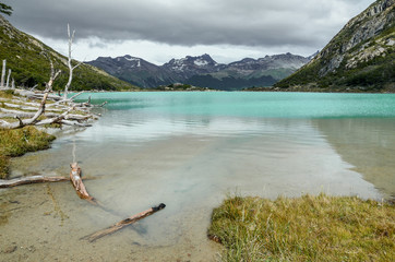 Dry branch at Laguna Esmeralda in Tierra del Fuego near Ushuaia, Patagonia, Argentina