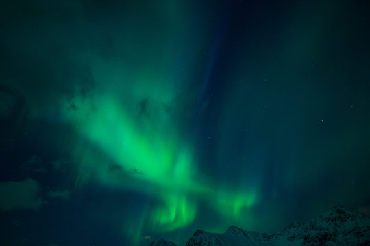 Northern lights (Aurora borealis). Norway, Lofoten 