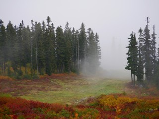 Indian Summer im Nebel