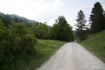 Hiking trail in the valley on the mountain Monte Della Selva, direction Fonte Vedice, beginning of summer