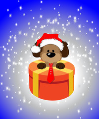 Happy Christmas. Symbol dog gift 2018 star