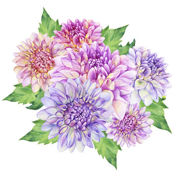 Bouquet  with purple Dahlia flower. Closeup dahlia flower. For wedding, invitation, Valentine's Day, Mother's Day. Watercolor hand drawn painting illustration isolated on white background.