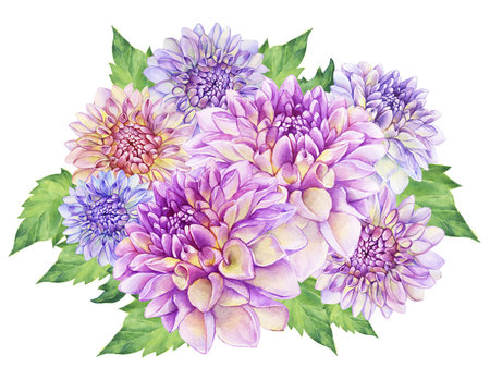 Bouquet with purple Dahlia flower. Closeup dahlia flower. For wedding, invitation, Valentine's Day, Mother's Day. Watercolor hand drawn painting illustration isolated on white background.