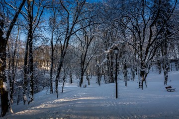 Zima w parku. Przemyśl  © Pawel Gruntowicz