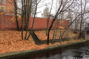 autumn descent to the canal, strewn with fallen leaves