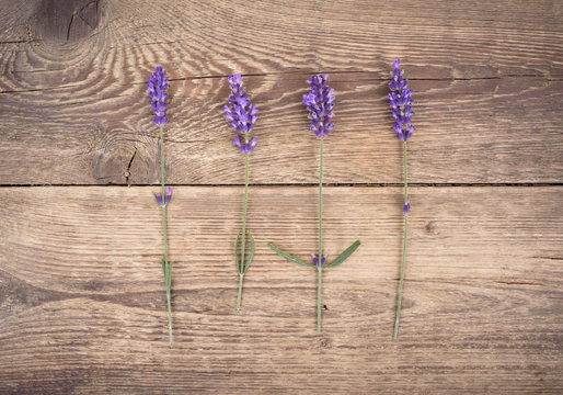 Lavender on rustic wooden background. Top view. 