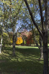 Les couleurs d'automne