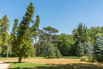 Landscape, Dendrological Park of the National Reserve Askania-Nova, Ukraine