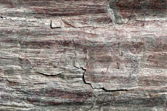 The surface of Phyllite schists of Proterozoic age