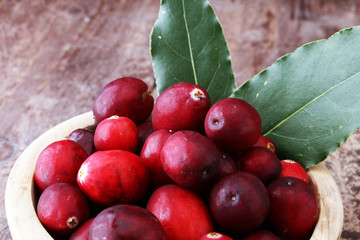 Harvest fresh red cranberries in wooden basket. Autumn concept.