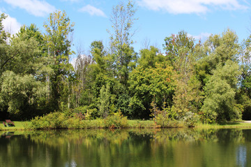 Fototapeta na wymiar Reflections on the pond in early autumn